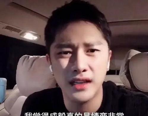 演员成毅最新爆料视频播放,演艺圈幕后故事大公开