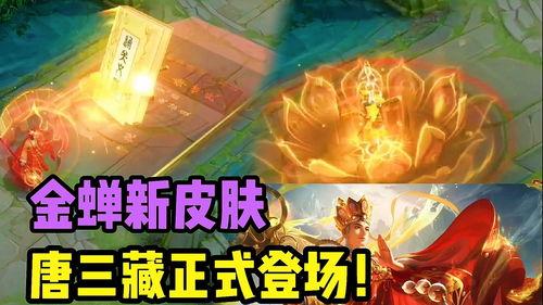 金蝉皮肤最新爆料图片 第2张 金蝉皮肤最新爆料图片 第2张