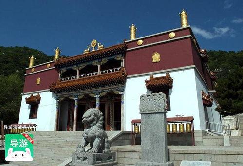 阜新导游爆料网最新动态,揭秘旅游行业最新动态与内幕